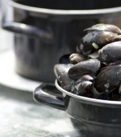 Cosy & Trendy Mosselpan - Zwart - ø 12 Cm / 900 Ml 8 Cosy & Trendy Mosselpan - Zwart - ø 12 Cm / 900 Ml -Alessi Verkoopwinkel 111 PUNT 012