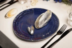 Anovi Mosselschep -Alessi Verkoopwinkel 12 Mosselen Anovi 12 1