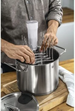 Zwilling Verstelbaar Sous Vide Rek Enfinigy - 15 Tot 47 Cm -Alessi Verkoopwinkel 4009839643897 6