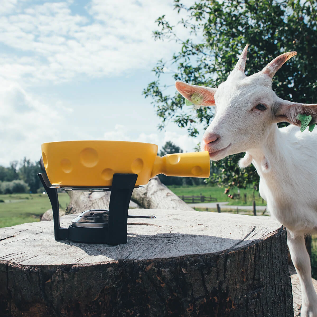 Boska Fondueset Cheesy - 6 Personen - Geel/zwart - 1.3 Liter 4 Boska Fondueset Cheesy - 6 Personen - Geel/zwart - 1.3 Liter - Afbeelding 4
