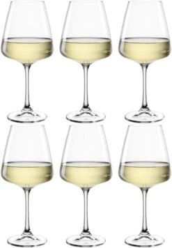 Leonardo Witte Wijnglazen Paladino - 540 Ml - 6 Stuks