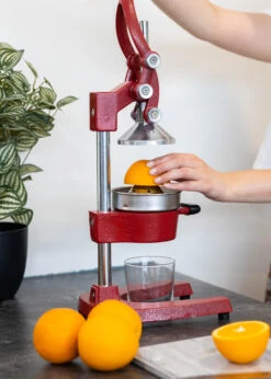 Sareva Citruspers - Gietijzer - Hevelmodel - Rood 11 Sareva Citruspers - Gietijzer - Hevelmodel - Rood -Alessi Verkoopwinkel Citruspers 5