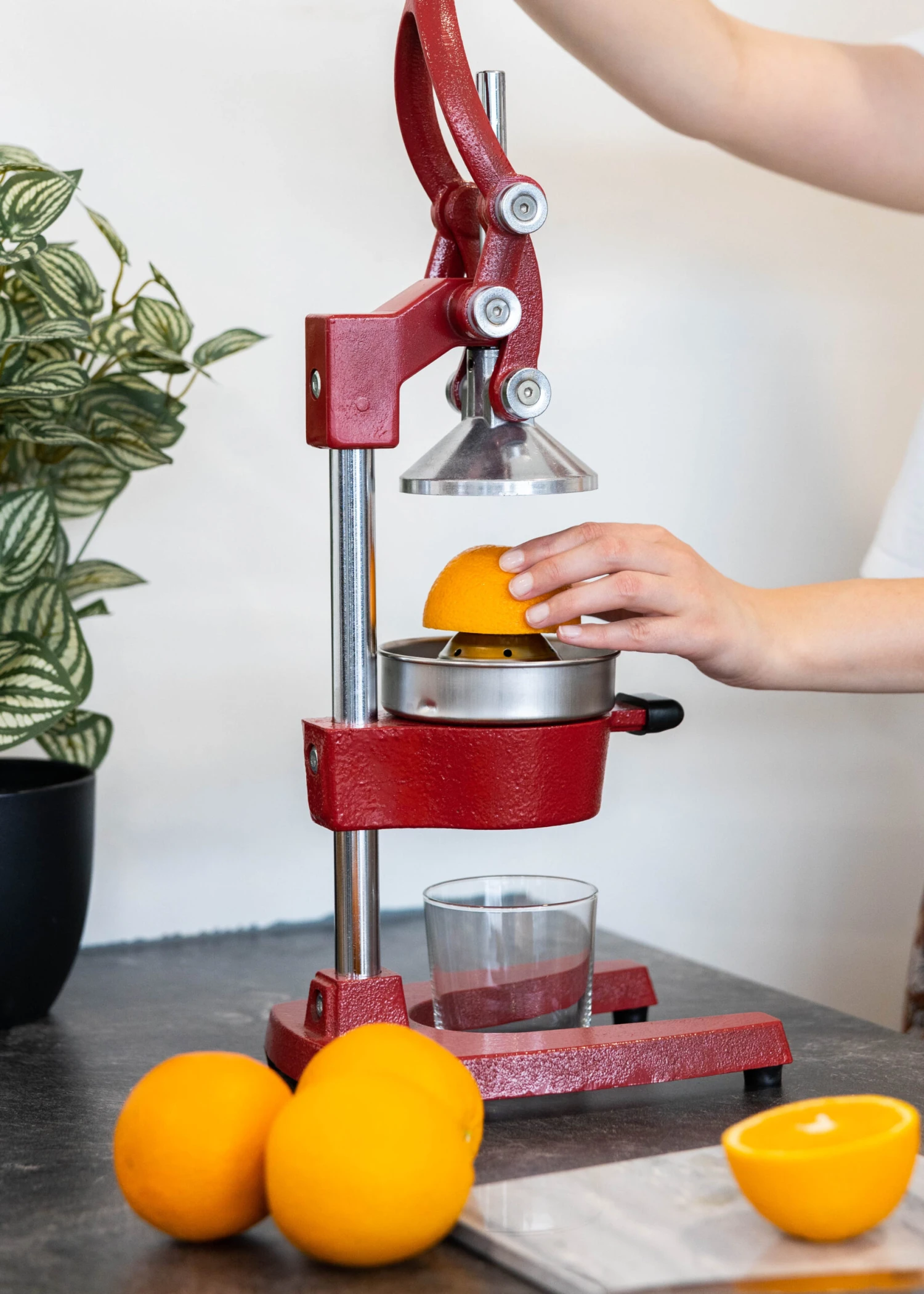 Sareva Citruspers - Gietijzer - Hevelmodel - Rood 3 Sareva Citruspers - Gietijzer - Hevelmodel - Rood - Afbeelding 3