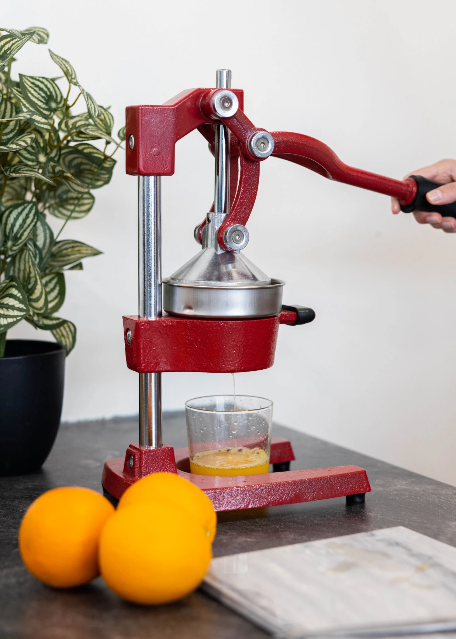 Sareva Citruspers - Gietijzer - Hevelmodel - Rood 5 Sareva Citruspers - Gietijzer - Hevelmodel - Rood - Afbeelding 5