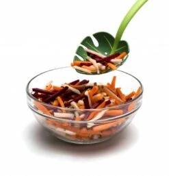 Ototo Opscheplepel Jungle Spoon 10 Ototo Opscheplepel Jungle Spoon -Alessi Verkoopwinkel Ototo Opscheplepel Jungle Spoon 3