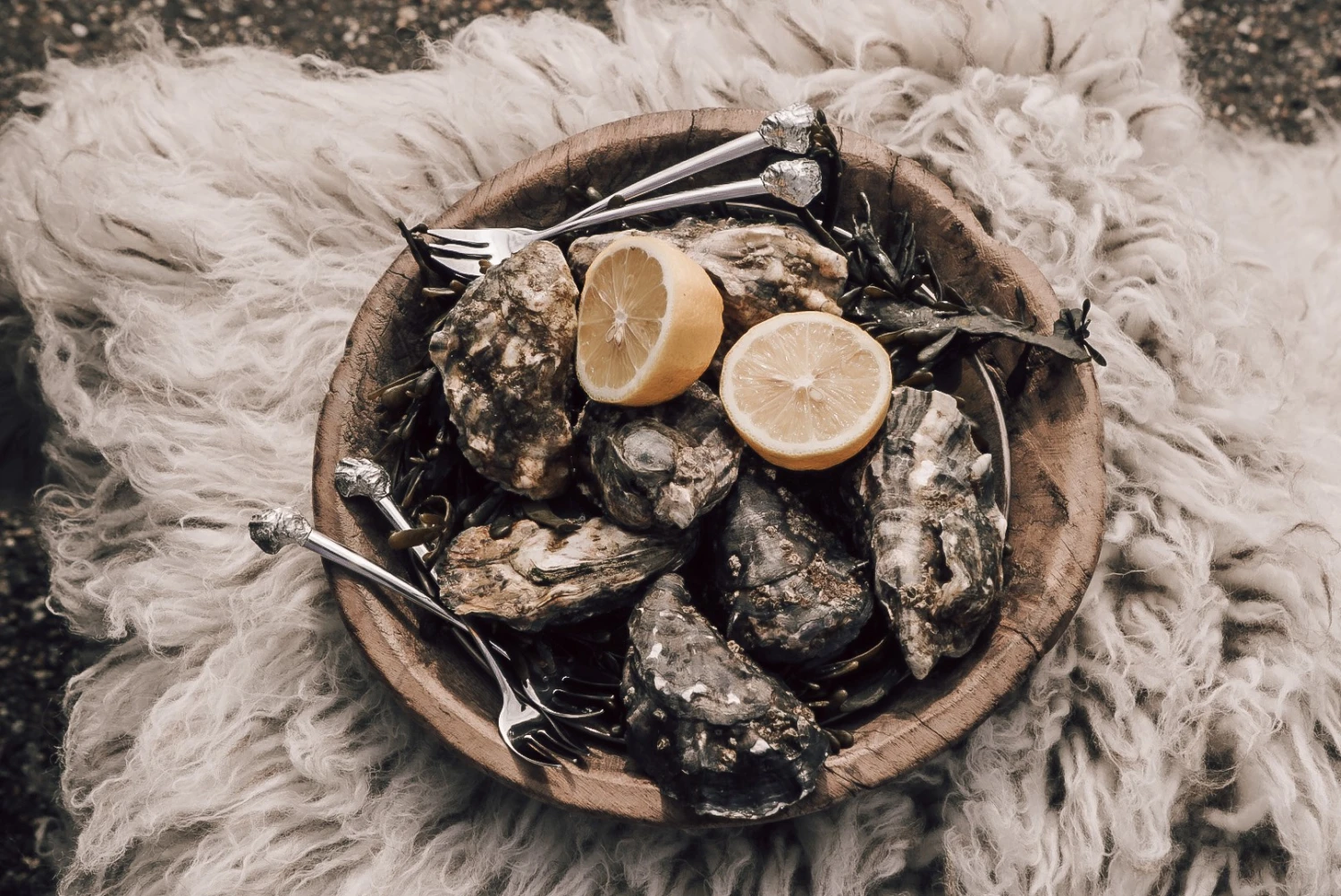 Anovi Oestervorkjes - 4 Stuks 2 Anovi Oestervorkjes - 4 Stuks - Afbeelding 2