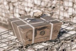 Anovi Oestervorkjes - 4 Stuks 6 Anovi Oestervorkjes - 4 Stuks -Alessi Verkoopwinkel Oysterforks