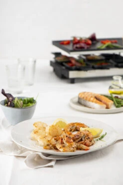 Fritel Gourmetstel RG 4180 13 Fritel Gourmetstel RG 4180 -Alessi Verkoopwinkel RG 4180 Raclette Grill 142170 06