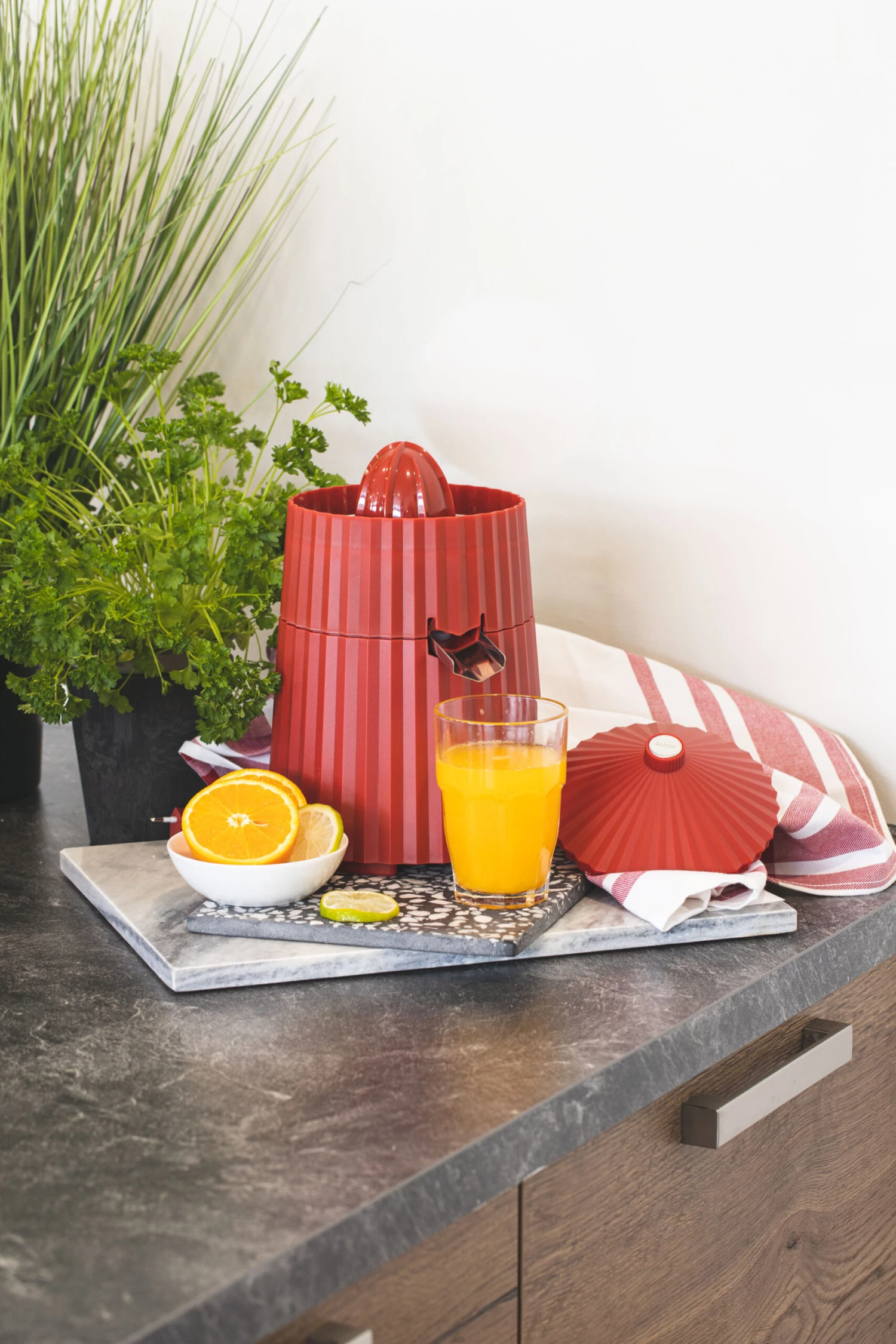 Alessi Citruspers Plissé - Elektrisch - Rood - Michele De Lucchi - MDL07 R 2 Alessi Citruspers Plissé - Elektrisch - Rood - Michele De Lucchi - MDL07 R - Afbeelding 2