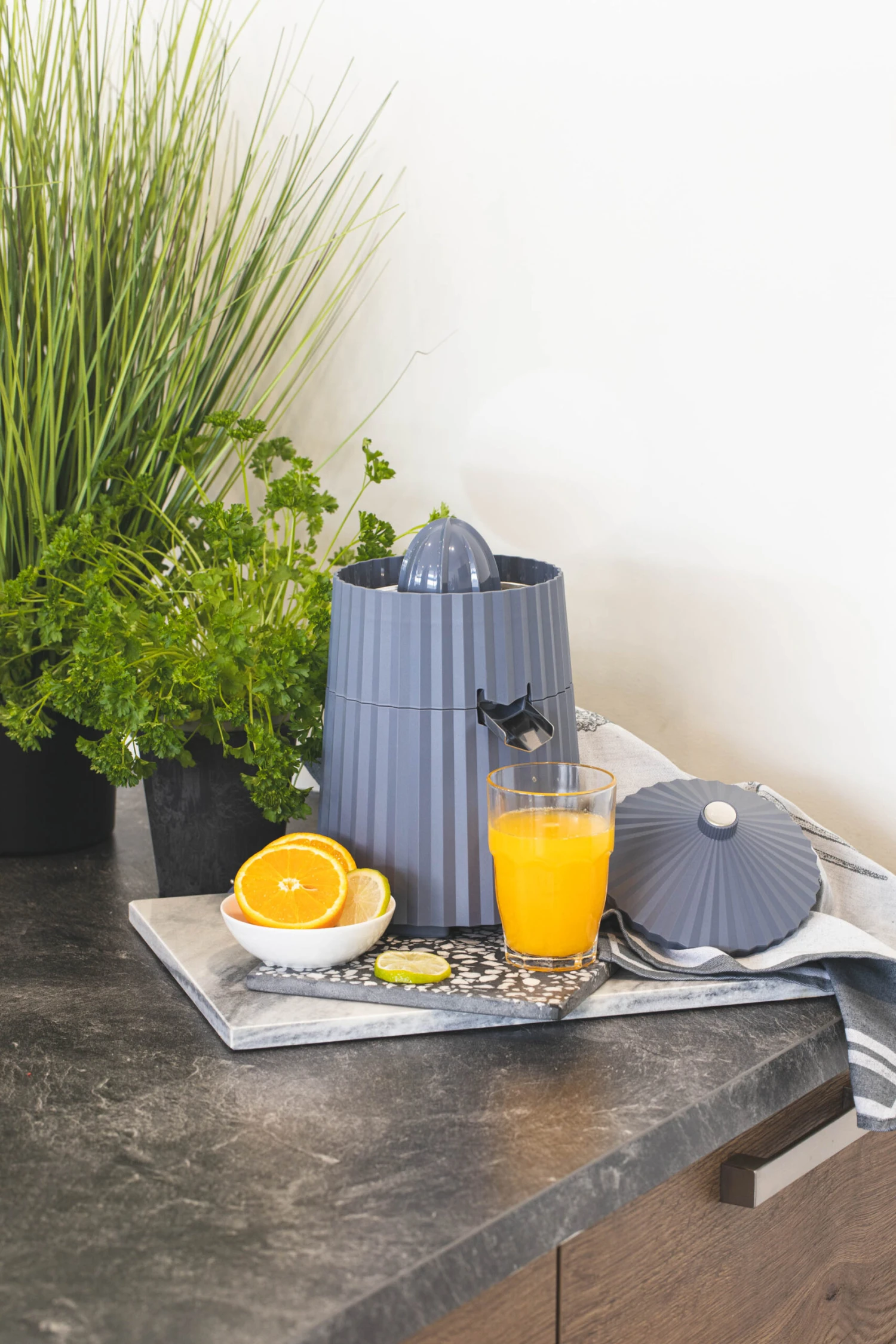 Alessi Citruspers Plissé - Elektrisch - Grijs - Michele De Lucchi - MDL07 G 2 Alessi Citruspers Plissé - Elektrisch - Grijs - Michele De Lucchi - MDL07 G - Afbeelding 2