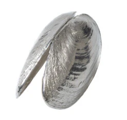 Anovi Mosselschep -Alessi Verkoopwinkel product 5 3